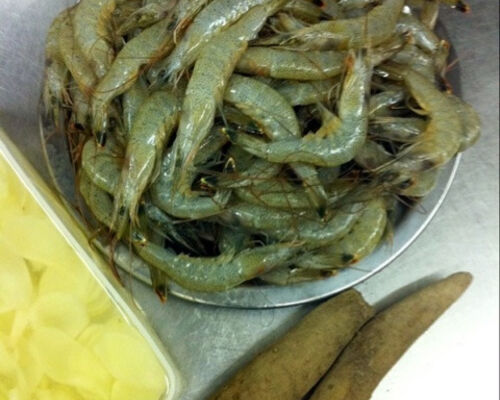 shrimp1